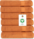 Delara Organic Cotton Luxuriously Plush Washcloths Pack of 6 | GOTS & Oeko-TEX by Delara