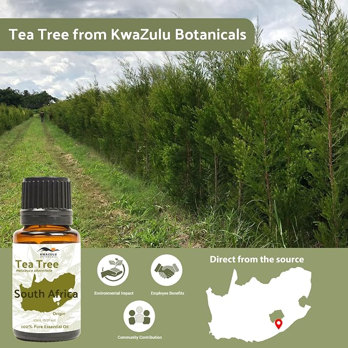 Tea Tree Essential Oil - Image 3