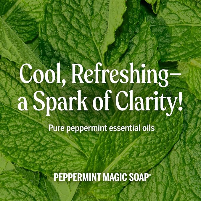 Dr. Bronner's Magic Soap-Pure-Castile Liquid Refill - Image 5