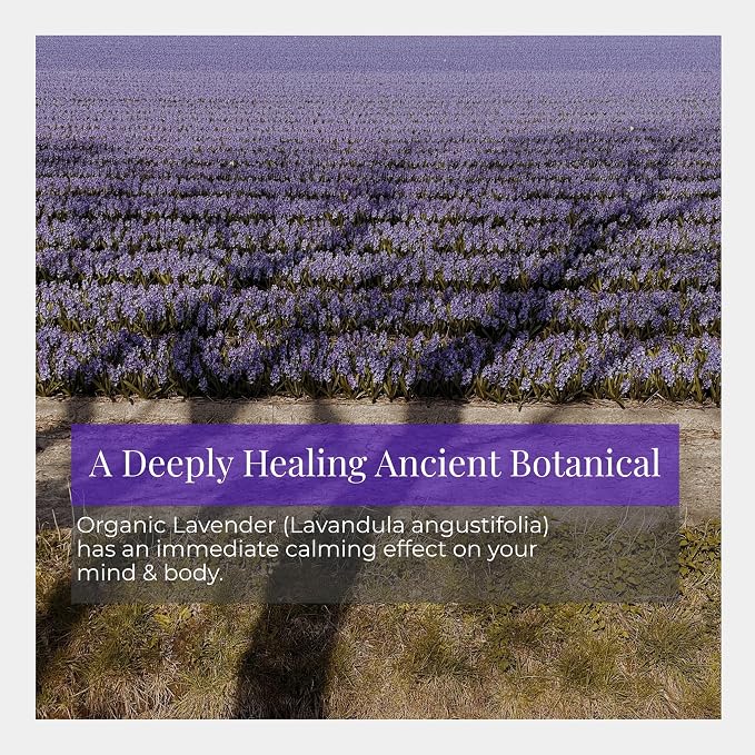 Silk Road Organic Lavender Essential Oil Roll On, USDA Certified, Relaxation & - Image 2