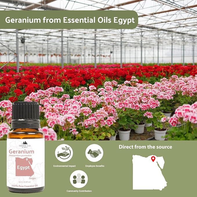 Geranium Essential Oil - Image 9