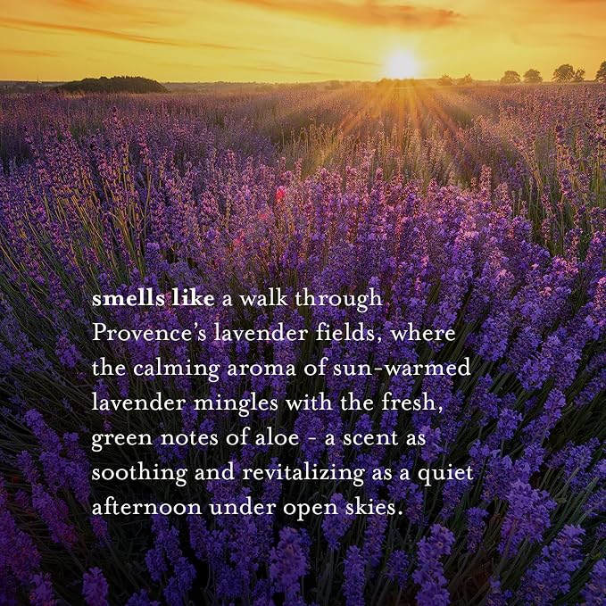 A LA MAISON de Provence Lavender Aloe Liquid Hand and Body Soap - Image 4