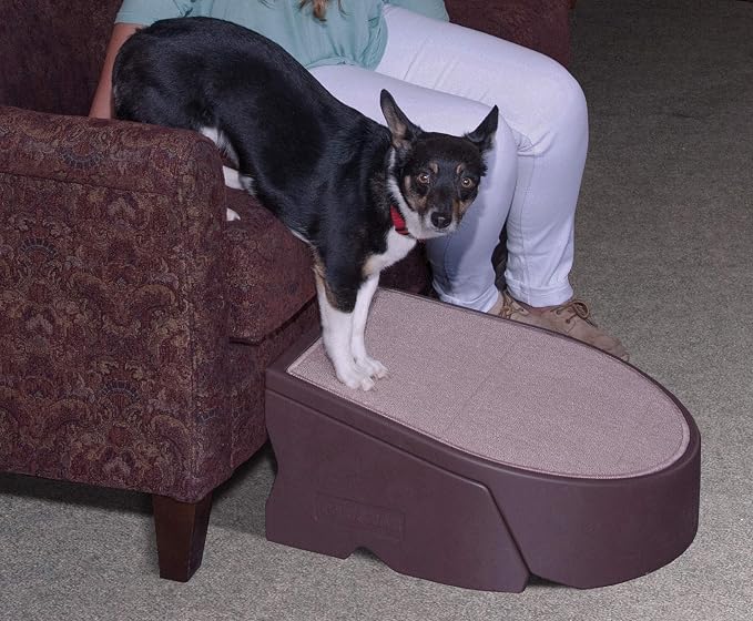 Pet Gear Stramp Stair and Ramp Combination - Image 2
