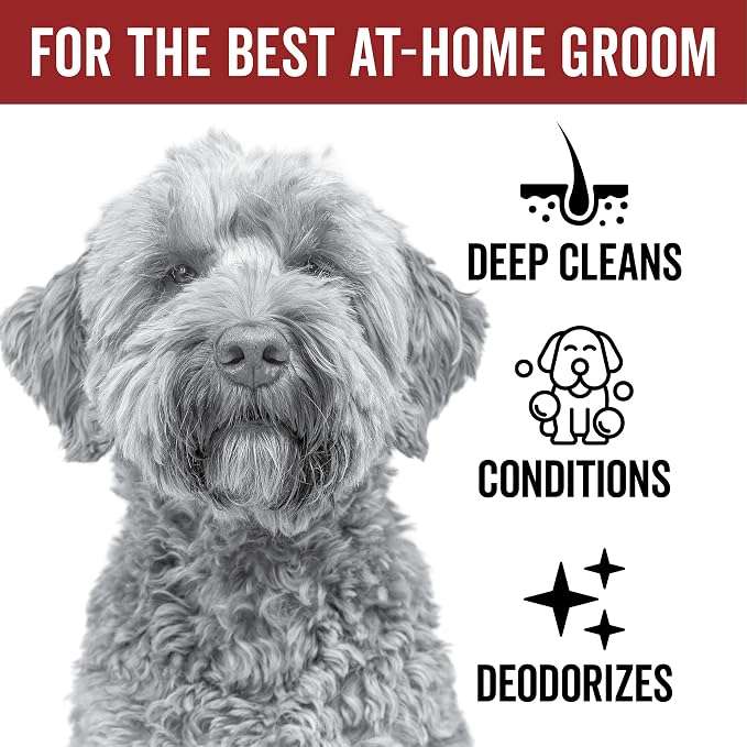 Pride and Groom DogDays Curly + Wavy Grooming Shampoo | Tearless, All-Natural - Image 2
