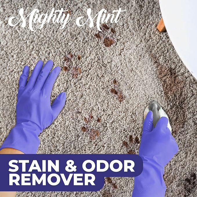 Mighty Mint Stain & Odor Remover, Natural Enzyme Spray Safely Neutralizes Odor - Image 4