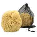 Real Sea Sponge for Men by ConstantiaBeauty