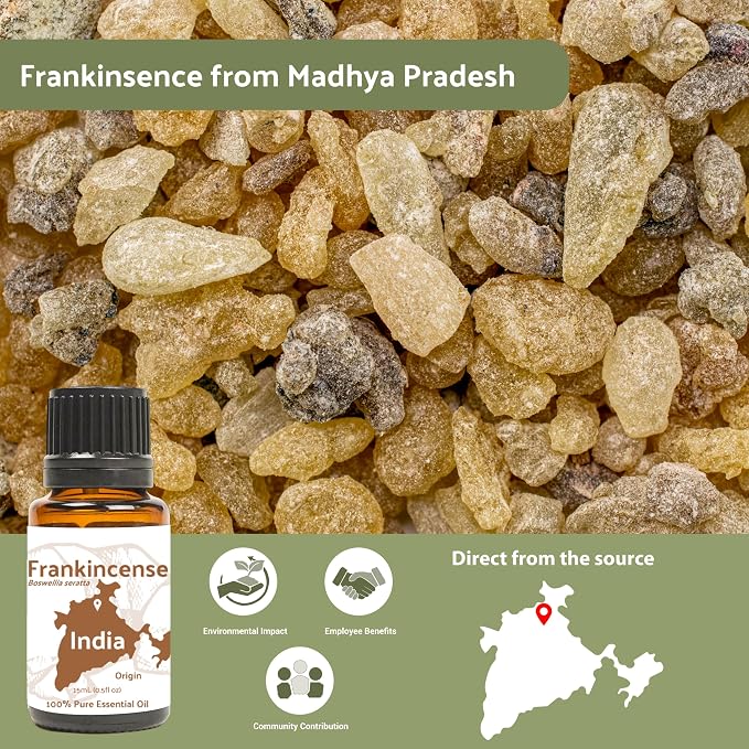 Frankincense Essential Oil - Image 4
