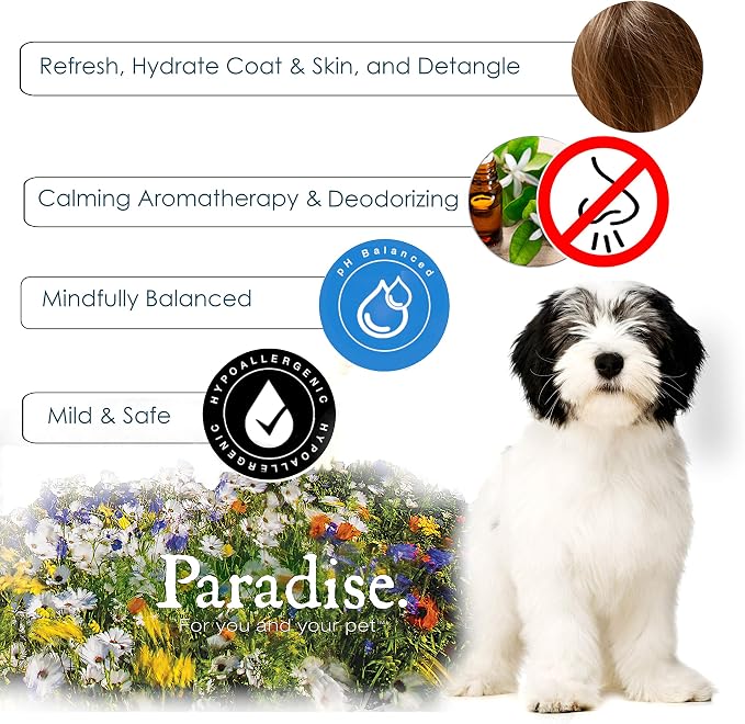 Best Shot Scentament Spa Botanical Body Splash, Detangler Spray, Hypoallergenic - Image 4