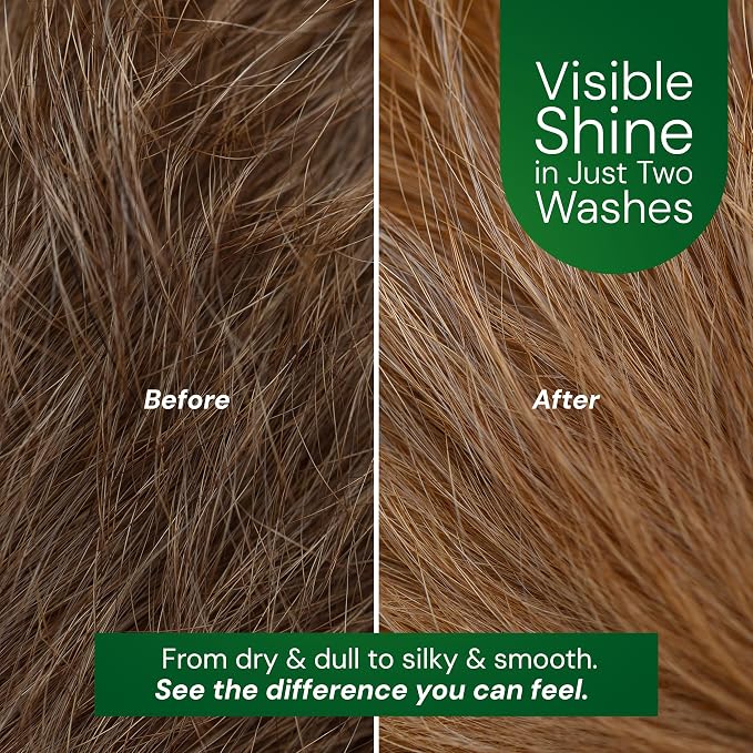2-in-1 Dog Shampoo & Conditioner, Caviar Extract, Aloe & Bergamot - Image 4