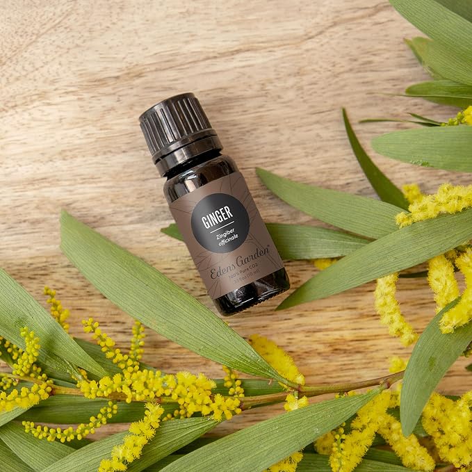 Edens Garden Ginger CO2 Essential Oil- 100% Pure Premium Grade, Therapeutic - Image 2