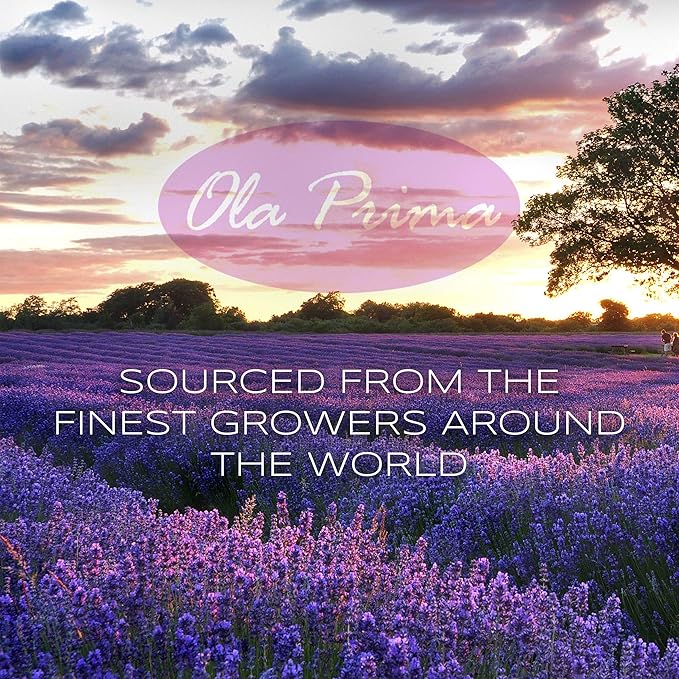 Ola Prima Rosemary Essential Oil 4 Fluid Ounces – Therapeutic Grade - Image 3