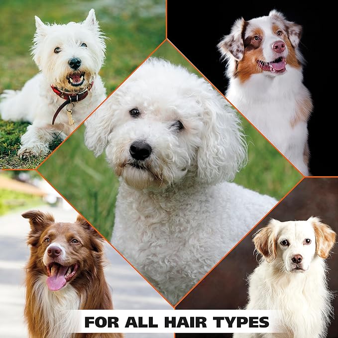 Wahl USA Whitening Shampoo White Pear scent - Image 7